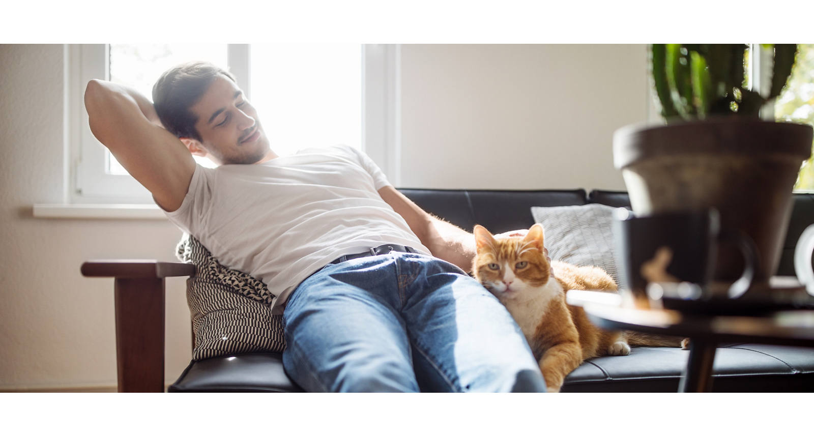 Wie geht’s dem Stress an den Kragen?