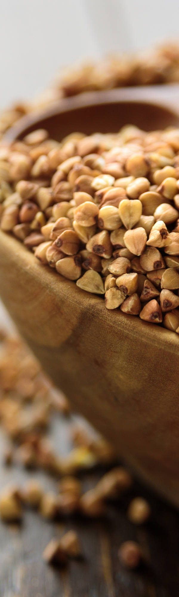 Heimisches Superfood Buchweizen