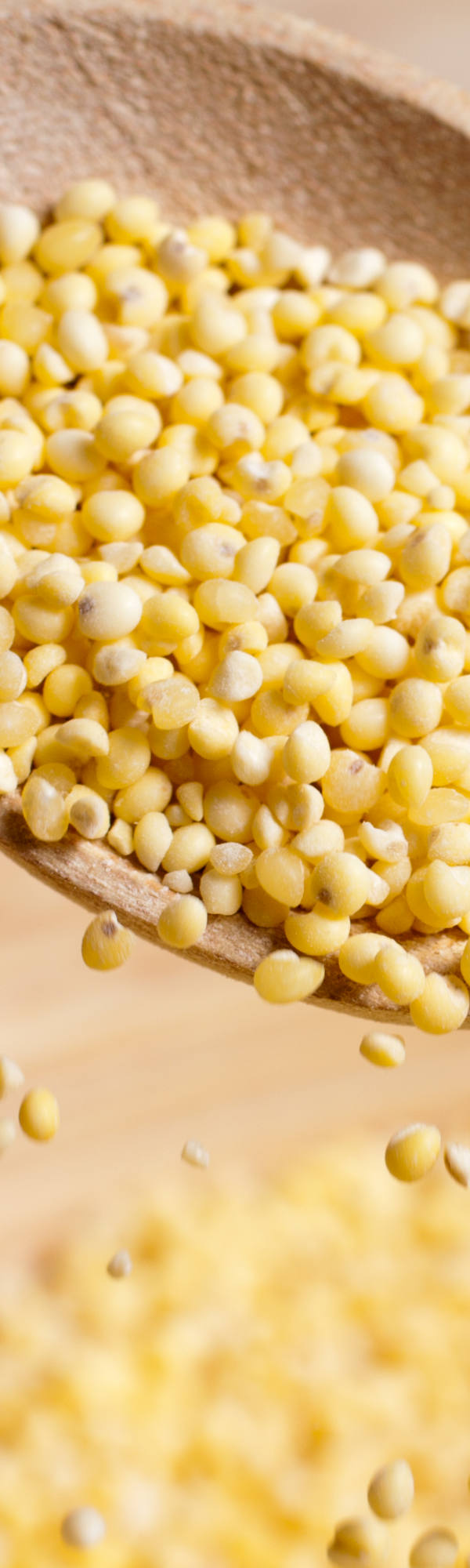 Superfood Hirse in einer Schale.