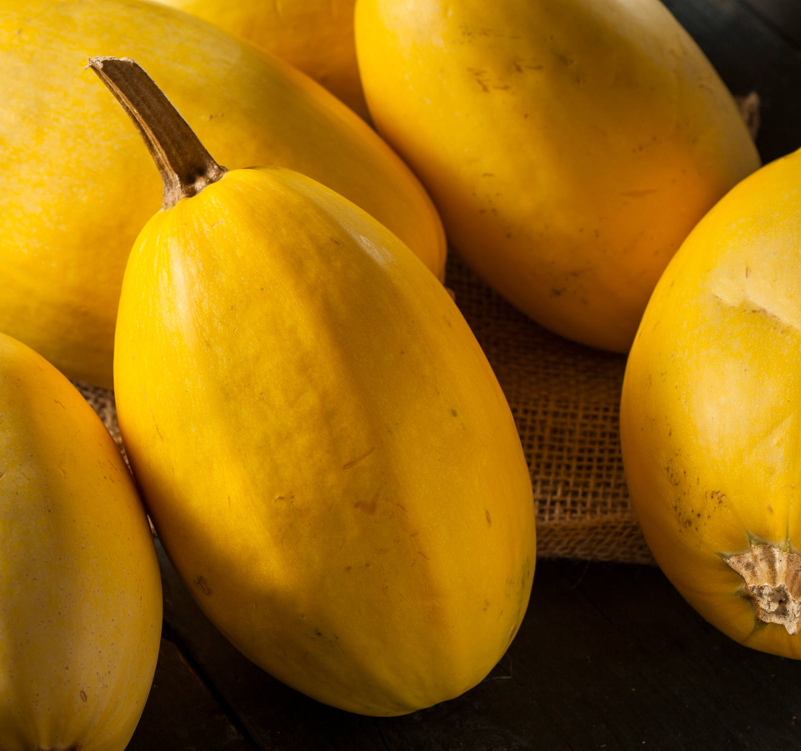 Delle zucche spaghetti fresche tengono in una buccia.