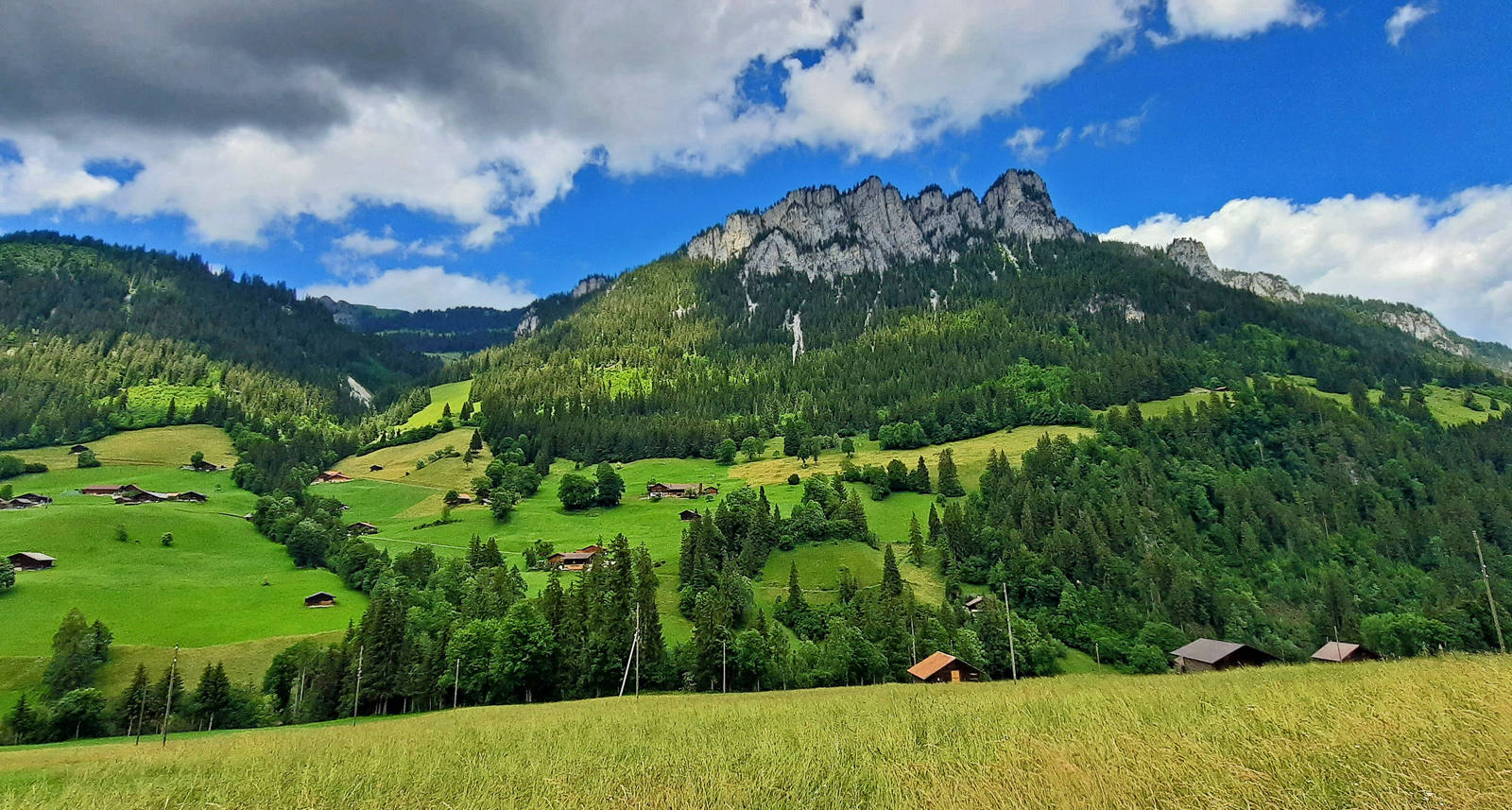 Unser Tourentipp: Velotour im Nationalpark Diemtigtal