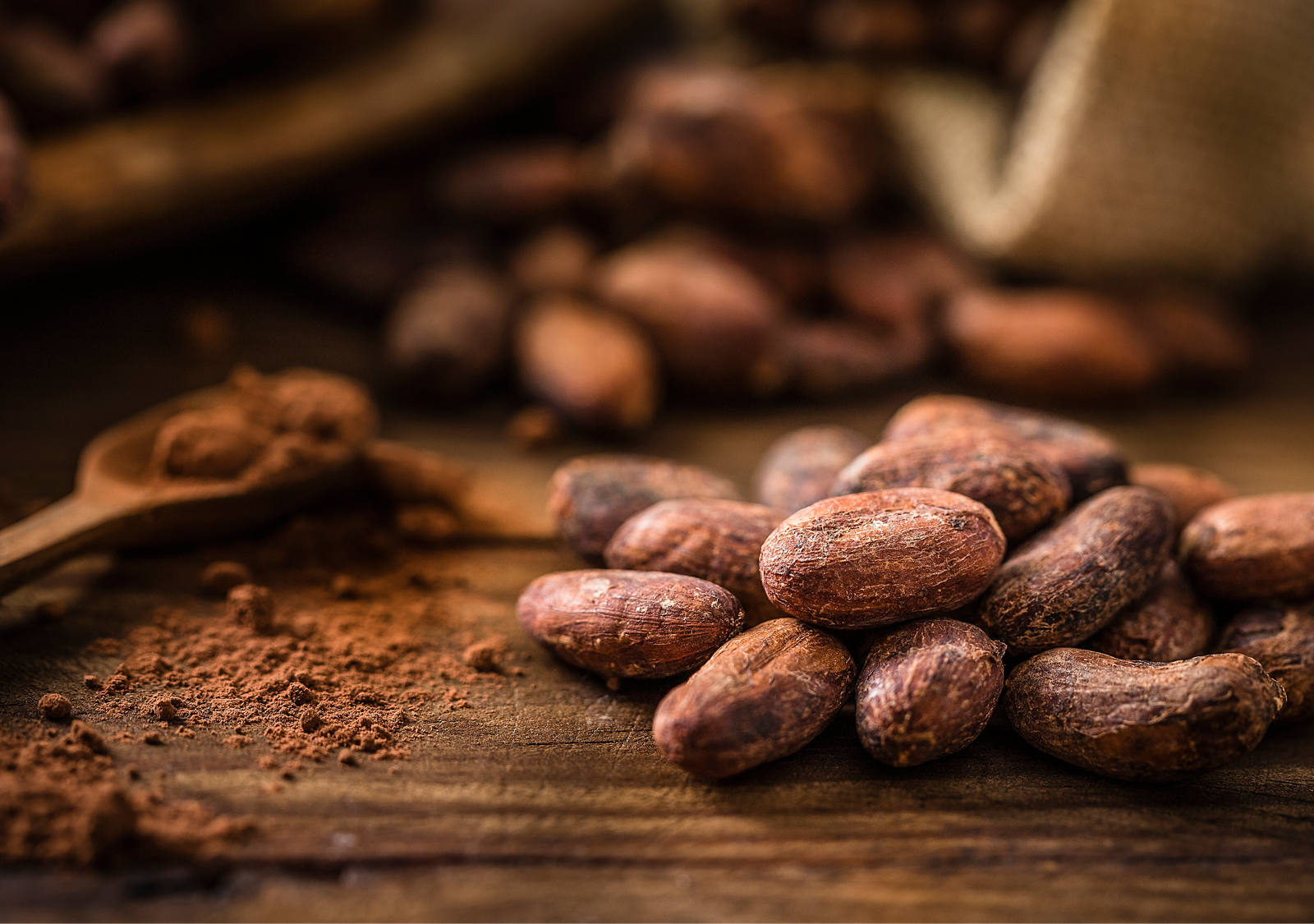  Le cacao, épice de Noël