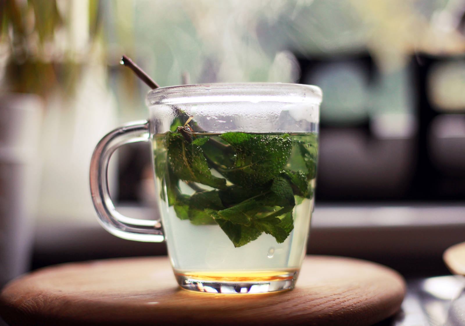 Bienfaits du thé à la menthe et d’autres thés régionaux